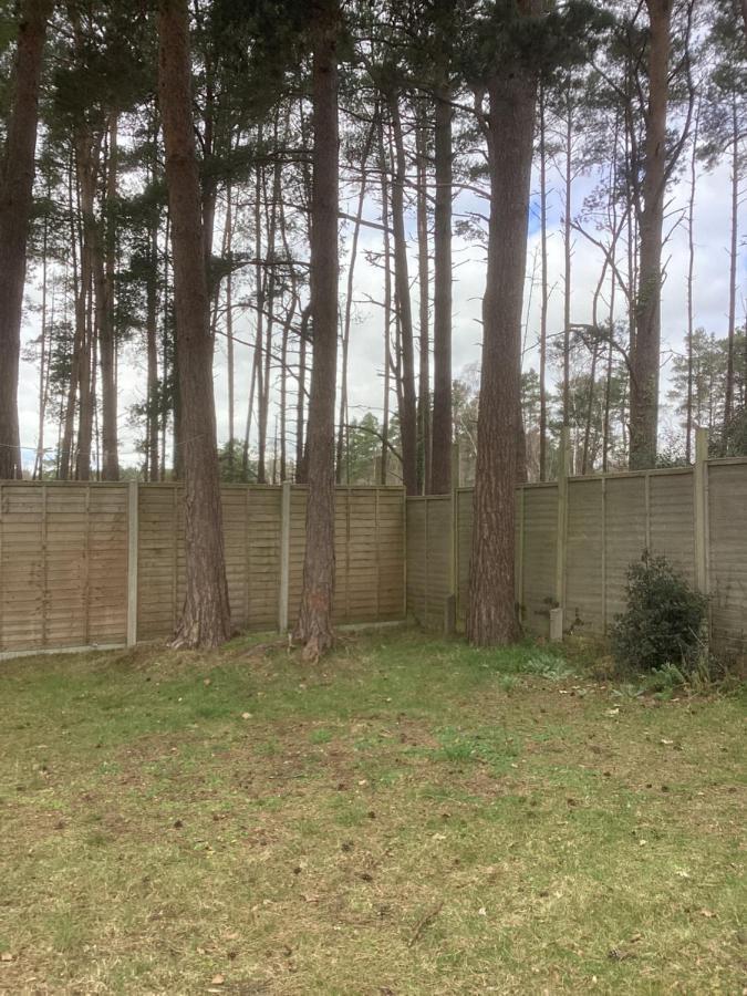 Forest Heath Holidays - Denphyl Ringwood Exterior photo